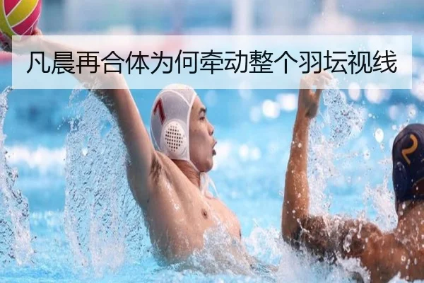 凡晨再合体为何牵动整个羽坛视线 | 333tiyu